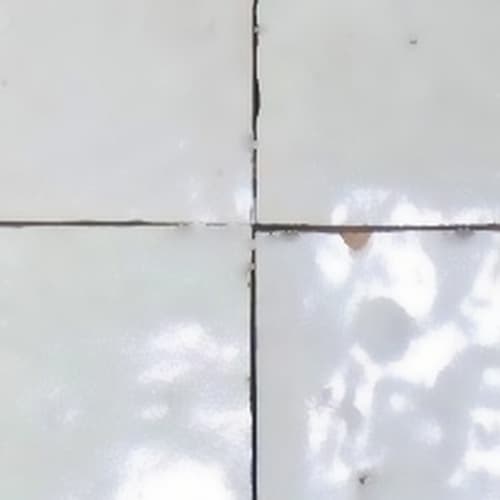 Blanc de Fès