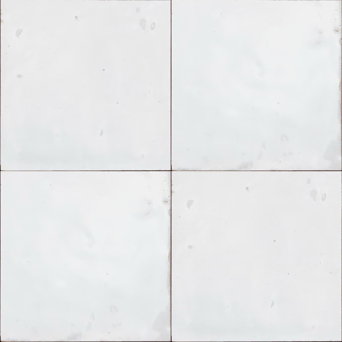 Blanc Neige