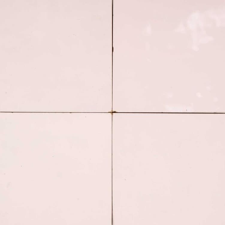 Rose Pale