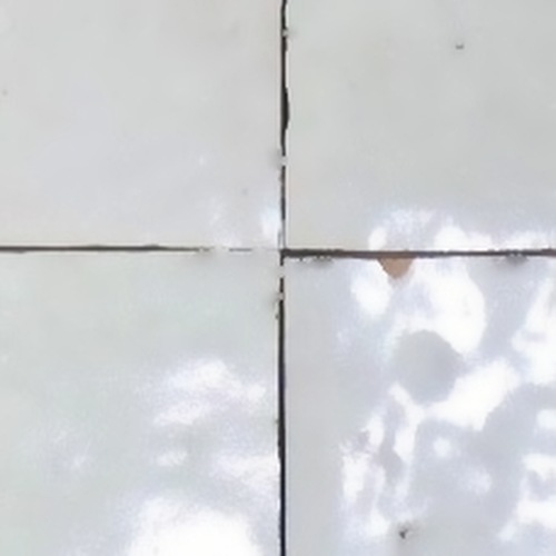 Blanc de Fès