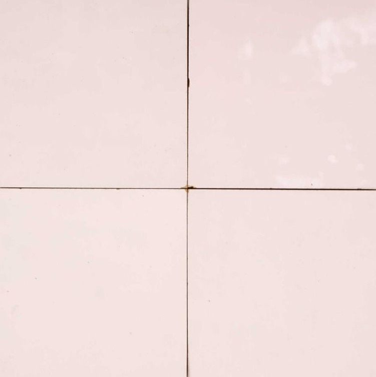 Rose Pale